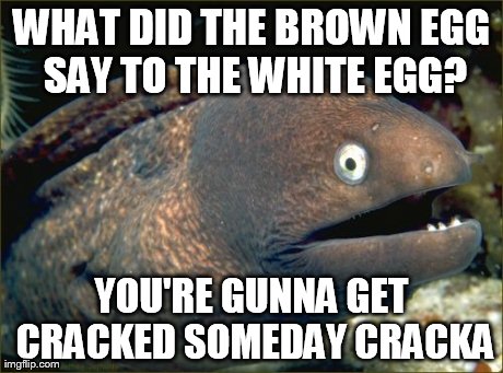 Bad Joke Eel Meme | WHAT DID THE BROWN EGG SAY TO THE WHITE EGG? YOU'RE GUNNA GET CRACKED SOMEDAY CRACKA | image tagged in memes,bad joke eel | made w/ Imgflip meme maker