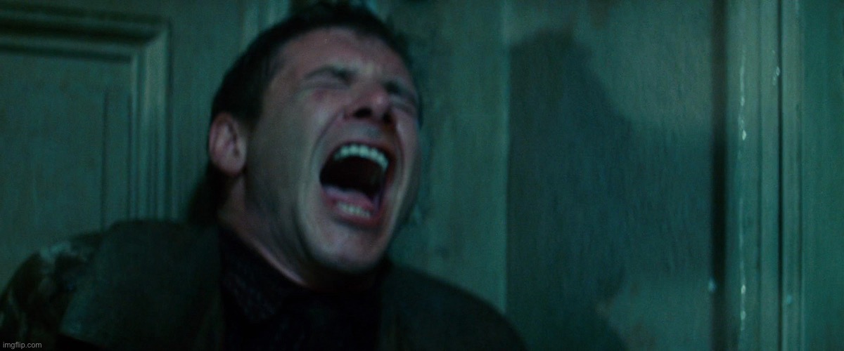 Harrison Ford in Pain | image tagged in harrison ford in pain | made w/ Imgflip meme maker
