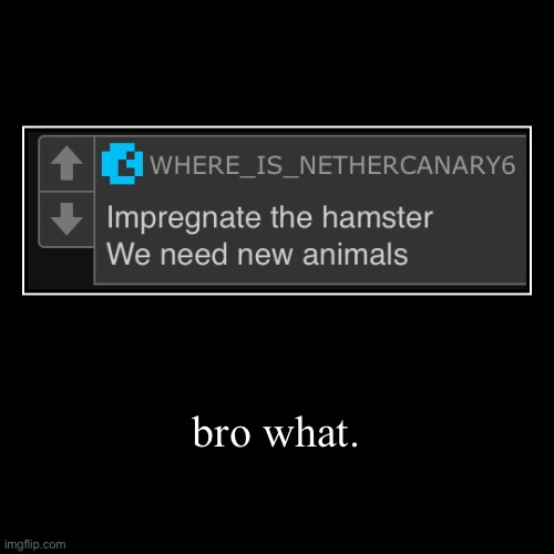 bro what. | | image tagged in funny,demotivationals | made w/ Imgflip demotivational maker