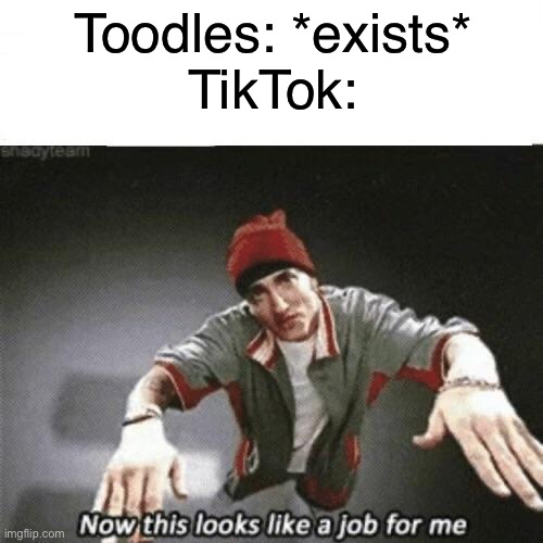 Meme about TikTok and dandy’s world | Toodles: *exists*
TikTok: | image tagged in now this looks like a job for me,dandy's world,eminem | made w/ Imgflip meme maker