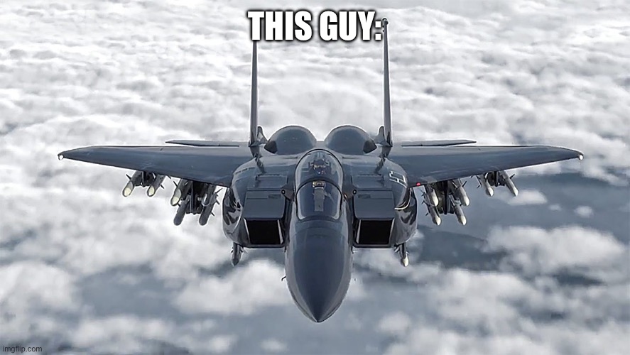 F-15 | THIS GUY: | image tagged in f-15 | made w/ Imgflip meme maker