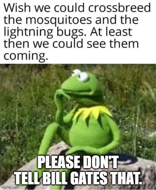 Please Don't Tell Bill Gates. | PLEASE DON'T TELL BILL GATES THAT. | image tagged in please don't tell bill gates | made w/ Imgflip meme maker