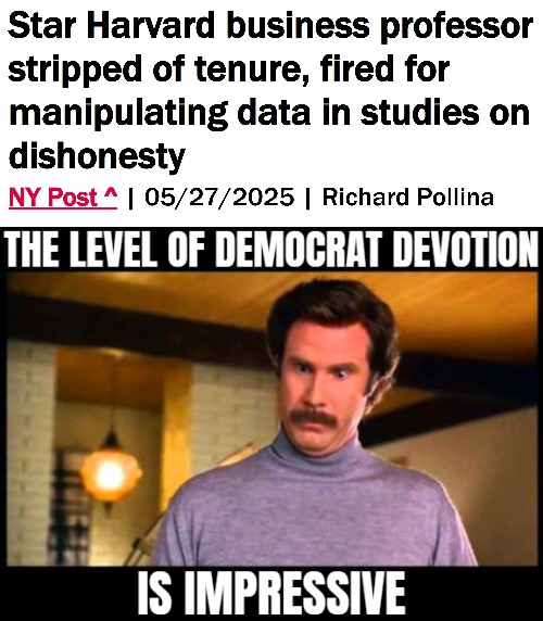 A Democrat 'Boss' | image tagged in university,fraud,democrats,american politics | made w/ Imgflip meme maker