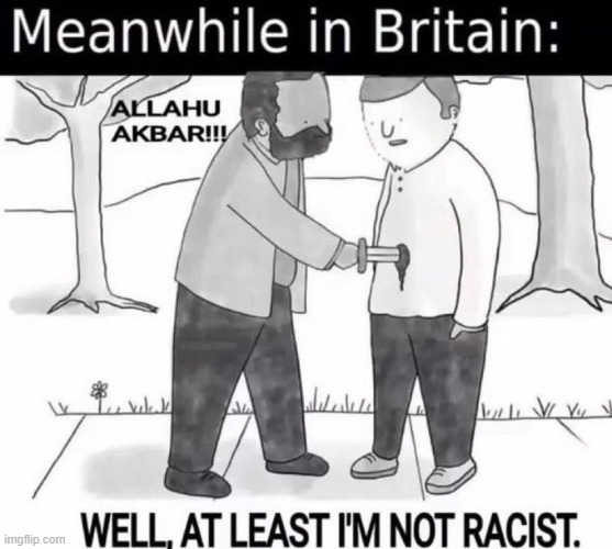 We loved visiting England decades ago but would never go back now.... | image tagged in britain,england,changed,not for the better,liberalism,weapon of mass destruction | made w/ Imgflip meme maker