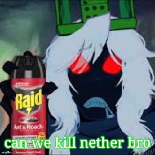 1x spraying raid V2 | can we kill nether bro | image tagged in 1x spraying raid v2 | made w/ Imgflip meme maker