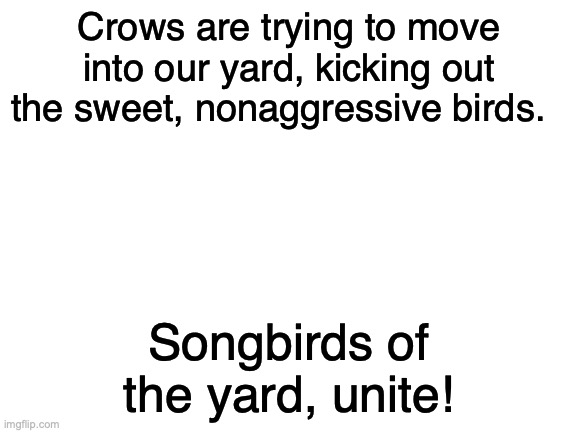 Should this go to HistoryMemes or Darkhumour? | Crows are trying to move into our yard, kicking out the sweet, nonaggressive birds. Songbirds of the yard, unite! | image tagged in blank white template | made w/ Imgflip meme maker