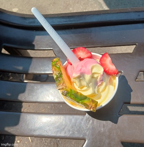 This soft serve ice cream didn't even taste like ice cream it tasted like fruit, and it wasn't sherbet | made w/ Imgflip meme maker