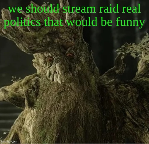 Hecate | we should stream raid real politics that would be funny | image tagged in hecate | made w/ Imgflip meme maker
