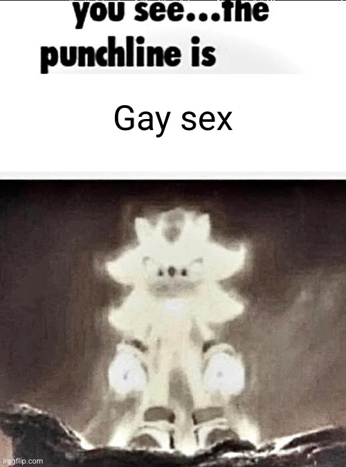Shadow explains the joke | Gay sex | image tagged in shadow explains the joke | made w/ Imgflip meme maker