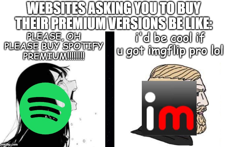 It's so annoying how in your face spotify is about getting spotify premium | WEBSITES ASKING YOU TO BUY THEIR PREMIUM VERSIONS BE LIKE:; PLEASE, OH PLEASE BUY SPOTIFY PREMIUM!!!!!!!! i'd be cool if u got imgflip pro lol | image tagged in babe please,spotify,imgflip,best better blurst,lol so funny,memes | made w/ Imgflip meme maker