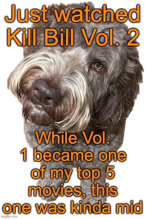 Vol. 2 lacked a lot of good things that Vol. 1 had | Just watched Kill Bill Vol. 2; While Vol. 1 became one of my top 5 movies, this one was kinda mid | image tagged in norther's dog | made w/ Imgflip meme maker