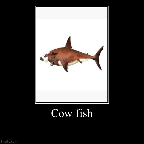 I love this image | Cow fish | | image tagged in funny,demotivationals,cow,fish,cowfish,first meme | made w/ Imgflip demotivational maker