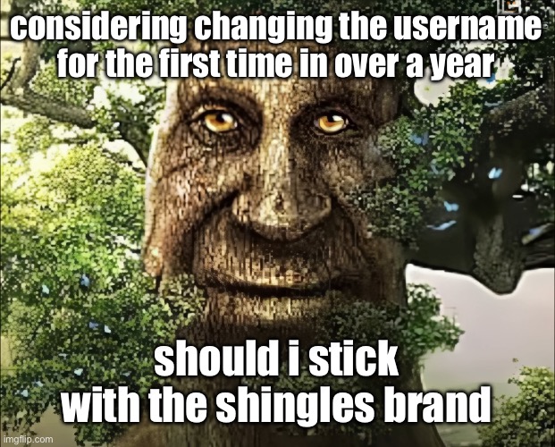 tree | considering changing the username for the first time in over a year; should i stick with the shingles brand | image tagged in tree | made w/ Imgflip meme maker