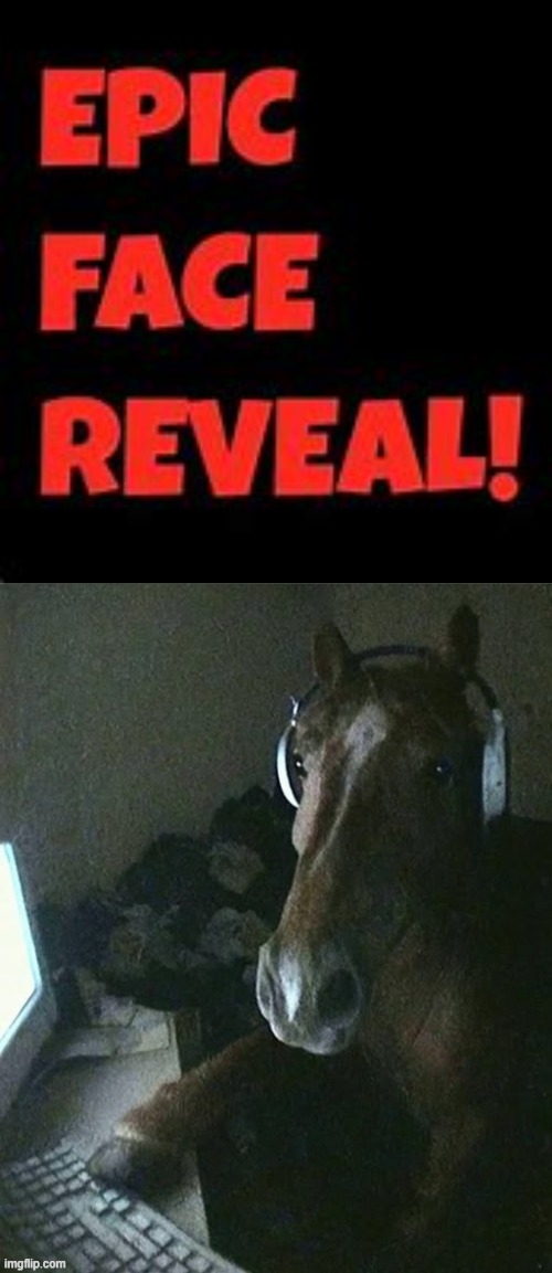 image tagged in epic face reveal | made w/ Imgflip meme maker