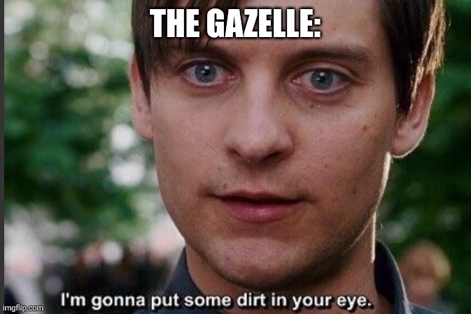 I'm gonna put some dirt in your eye | THE GAZELLE: | image tagged in i'm gonna put some dirt in your eye | made w/ Imgflip meme maker