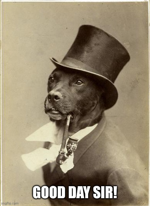 Old Money Dog | GOOD DAY SIR! | image tagged in old money dog | made w/ Imgflip meme maker