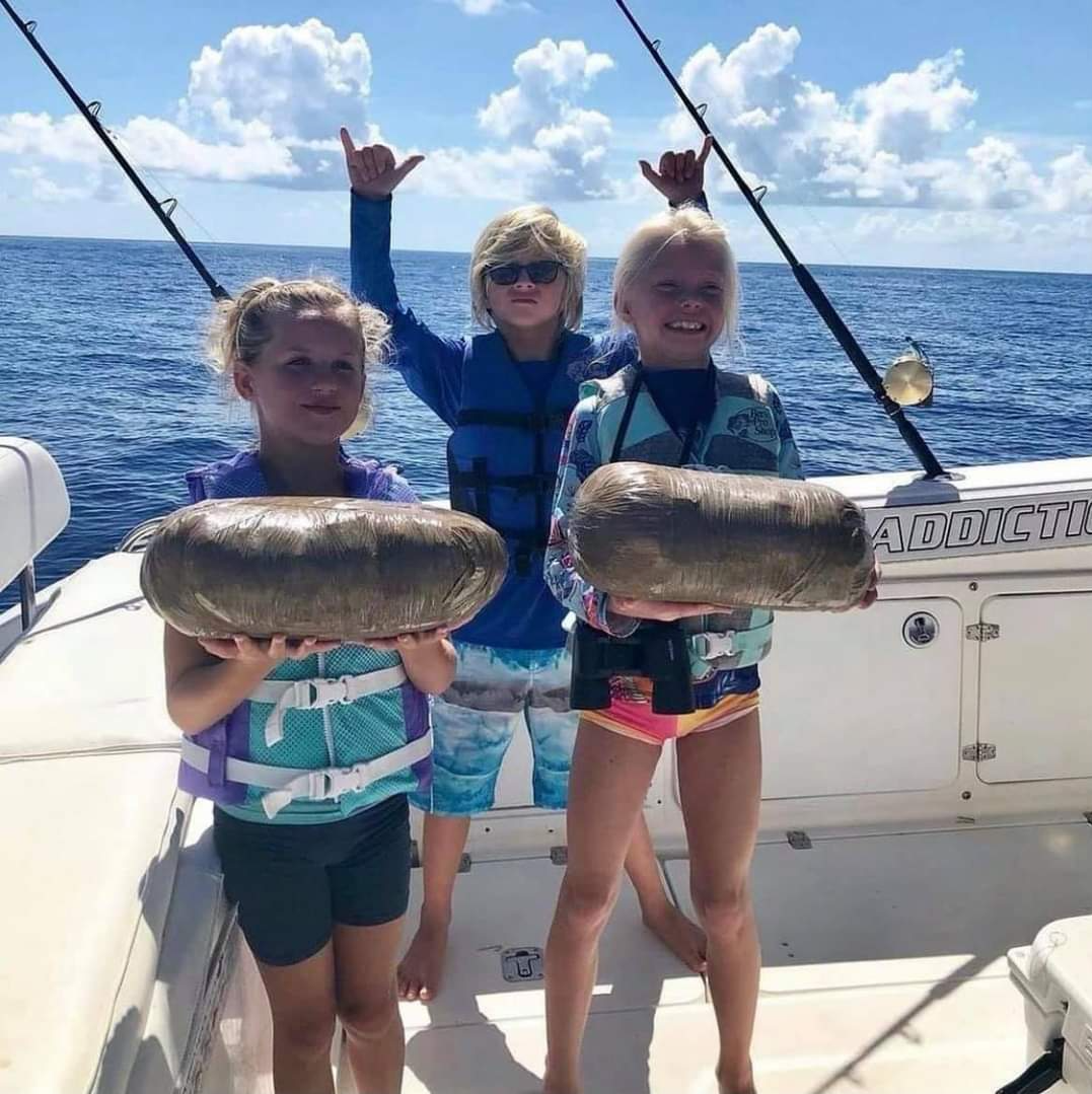 Fishing catch Blank Meme Template