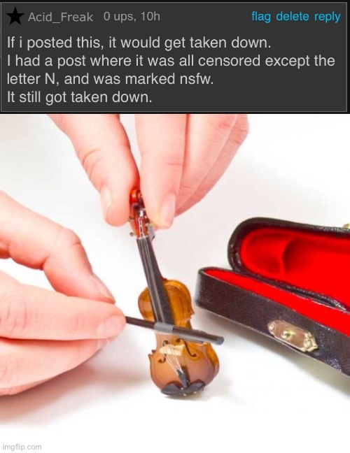 image tagged in tiny violin | made w/ Imgflip meme maker
