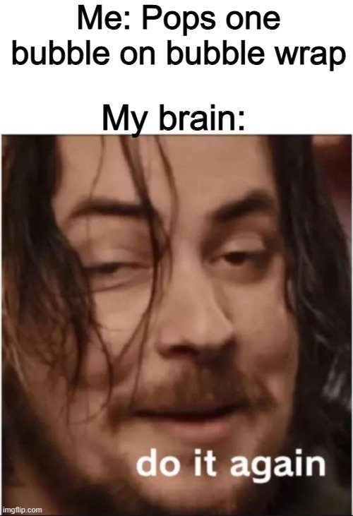 Cant resist it | Me: Pops one bubble on bubble wrap; My brain: | image tagged in do it again,memes,funny,bubble wrap,relatable | made w/ Imgflip meme maker
