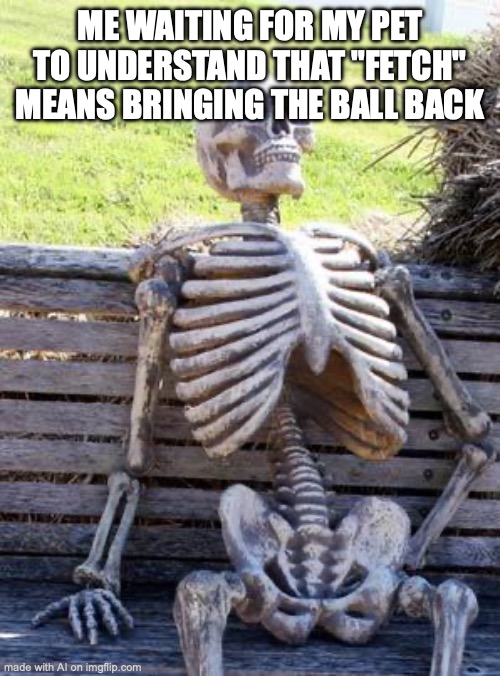 Waiting Skeleton Meme | ME WAITING FOR MY PET TO UNDERSTAND THAT "FETCH" MEANS BRINGING THE BALL BACK | image tagged in memes,waiting skeleton | made w/ Imgflip meme maker