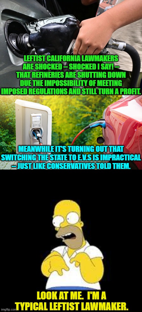 Of course that would be an insult to Homer. | LEFTIST CALIFORNIA LAWMAKERS ARE SHOCKED -- SHOCKED I SAY! -- THAT REFINERIES ARE SHUTTING DOWN DUE THE IMPOSSIBILITY OF MEETING IMPOSED REGULATIONS AND STILL TURN A PROFIT. MEANWHILE IT'S TURNING OUT THAT SWITCHING THE STATE TO E.V.S IS IMPRACTICAL -- JUST LIKE CONSERVATIVES TOLD THEM. LOOK AT ME.  I'M A TYPICAL LEFTIST LAWMAKER. | image tagged in yep | made w/ Imgflip meme maker
