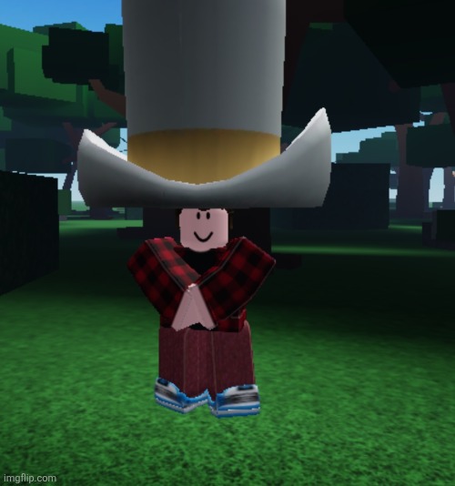 Fit check | image tagged in roblox | made w/ Imgflip meme maker