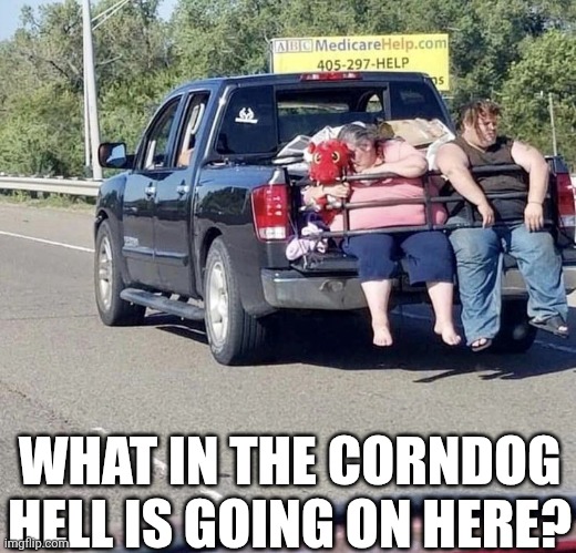 What In The Corndog Hell Is Going On Here? | WHAT IN THE CORNDOG HELL IS GOING ON HERE? | image tagged in chrisjoines1 | made w/ Imgflip meme maker