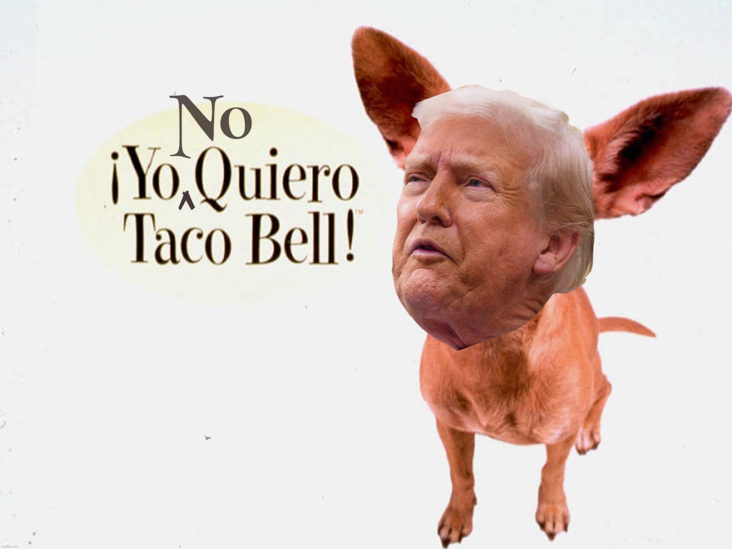 No Taco Bell for TACO | No; ^ | image tagged in taco bell chihuahua,yo quiero taco bell,trump,trump taco,taco,taco no quiere taco bell | made w/ Imgflip meme maker