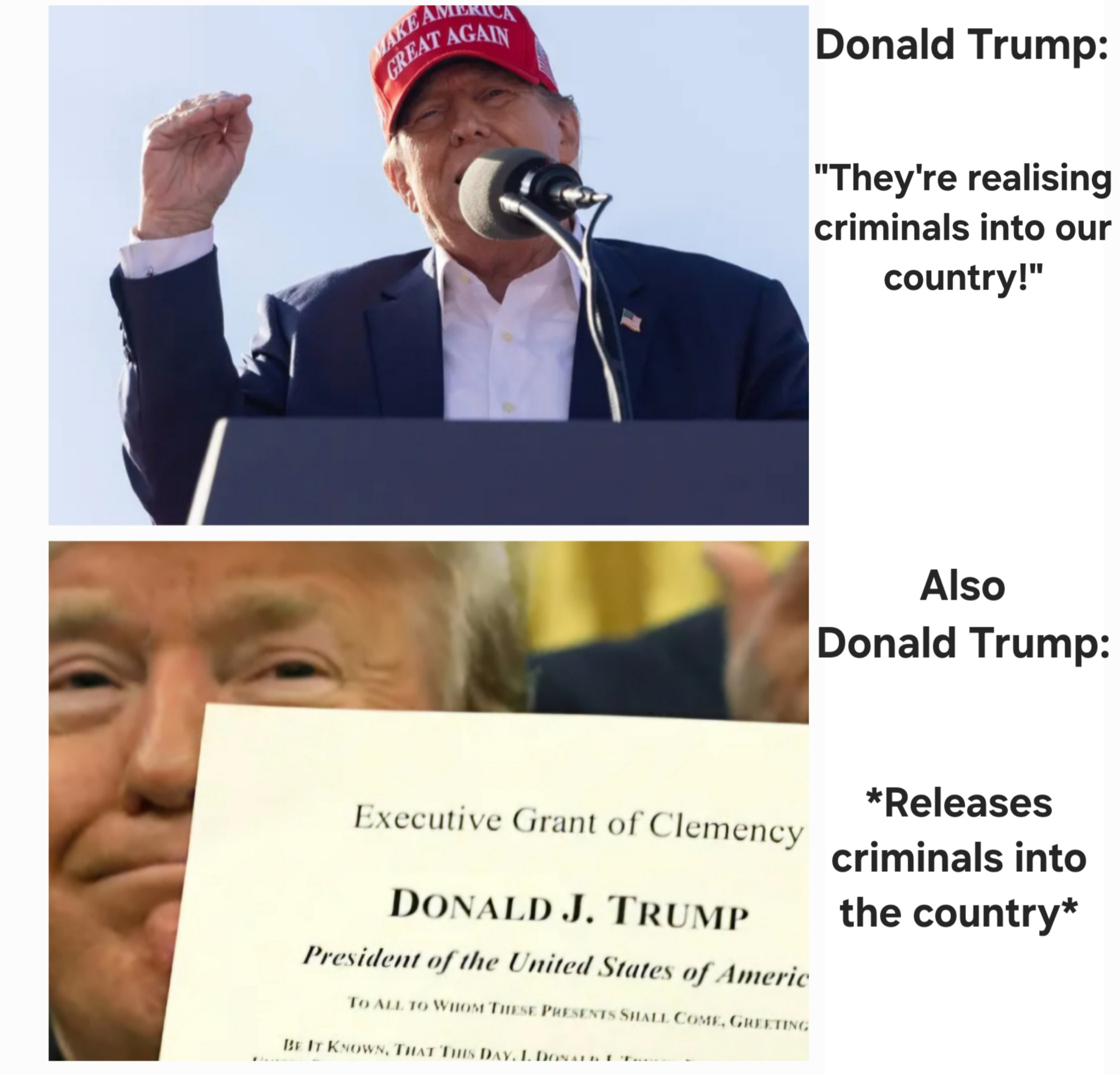 Trump Criminals Blank Meme Template
