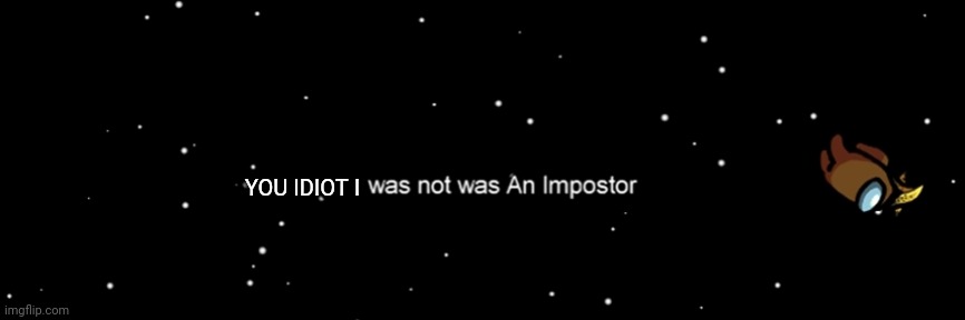 Among us not the imposter | YOU IDIOT I | image tagged in among us not the imposter | made w/ Imgflip meme maker