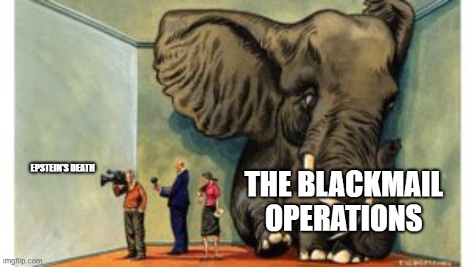 Needs Fixin' | EPSTEIN'S DEATH; THE BLACKMAIL
OPERATIONS | image tagged in elephant in the room | made w/ Imgflip meme maker
