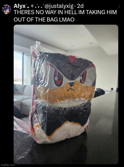 Shdw te hdghg | image tagged in e | made w/ Imgflip meme maker