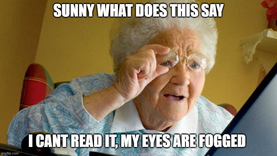 Grandma can't read | SUNNY WHAT DOES THIS SAY; I CANT READ IT, MY EYES ARE FOGGED | image tagged in grandma computer | made w/ Imgflip meme maker