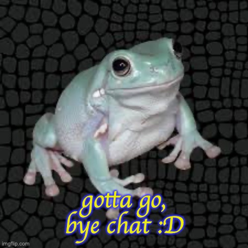 BAI *sob* | gotta go, bye chat :D | image tagged in white's tree frog | made w/ Imgflip meme maker
