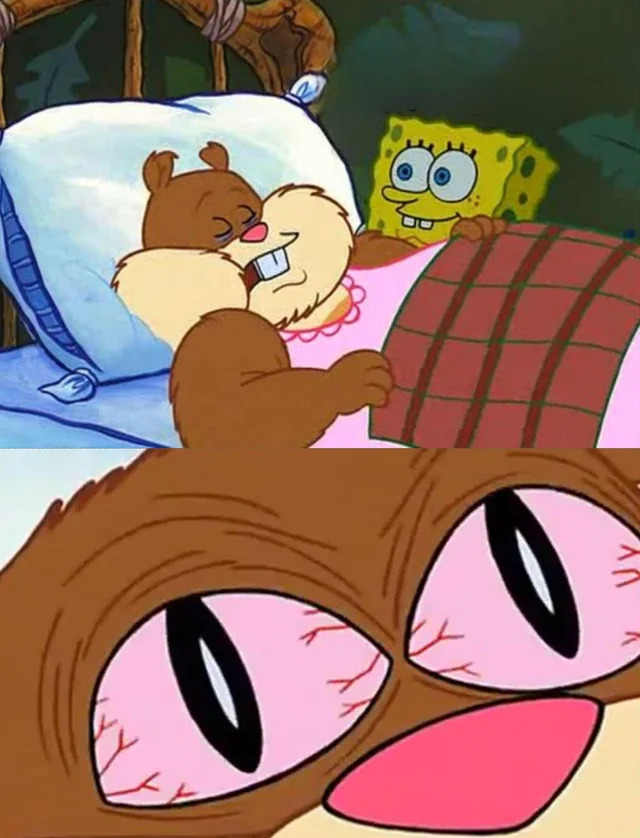 sandy sleeps Blank Meme Template