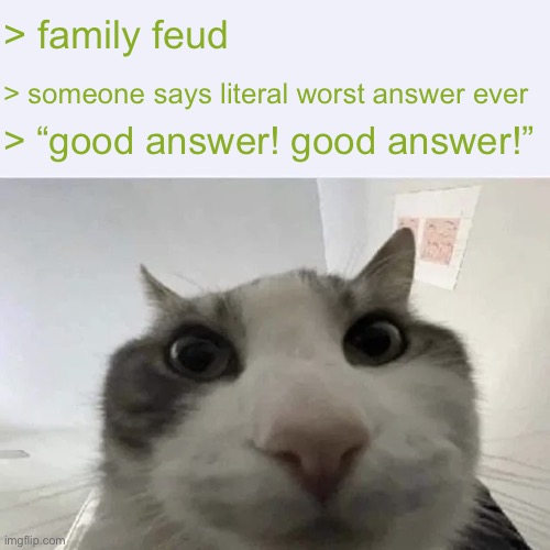 green text cat | > family feud; > someone says literal worst answer ever; > “good answer! good answer!” | image tagged in green text cat | made w/ Imgflip meme maker