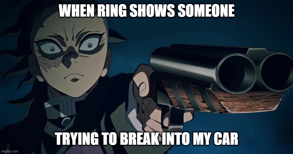 take some of this too | WHEN RING SHOWS SOMEONE; TRYING TO BREAK INTO MY CAR | image tagged in genya gun,ring | made w/ Imgflip meme maker