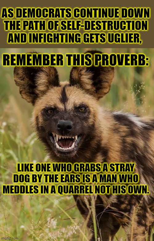 Current Events, 2026. | AS DEMOCRATS CONTINUE DOWN THE PATH OF SELF-DESTRUCTION AND INFIGHTING GETS UGLIER, REMEMBER THIS PROVERB:; LIKE ONE WHO GRABS A STRAY DOG BY THE EARS IS A MAN WHO MEDDLES IN A QUARREL NOT HIS OWN. | image tagged in wild dog | made w/ Imgflip meme maker