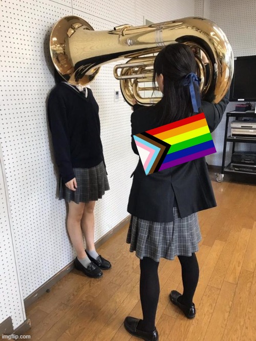 Girl Putting Tuba on Girl's Head | image tagged in girl putting tuba on girl's head | made w/ Imgflip meme maker
