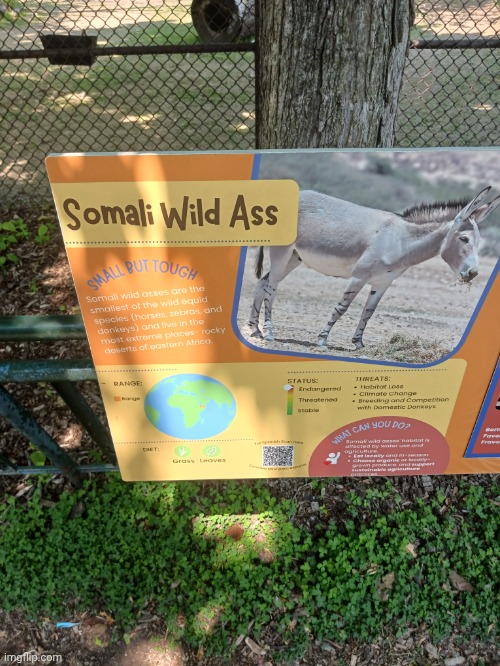 Photo from earlier today (I took this photo because I'm an immature little bitch) | made w/ Imgflip meme maker