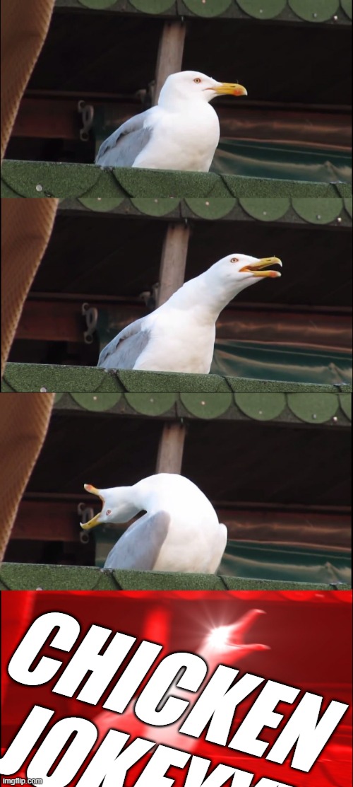 Inhaling Seagull Meme | CHICKEN 
JOKEYYY | image tagged in memes,inhaling seagull | made w/ Imgflip meme maker