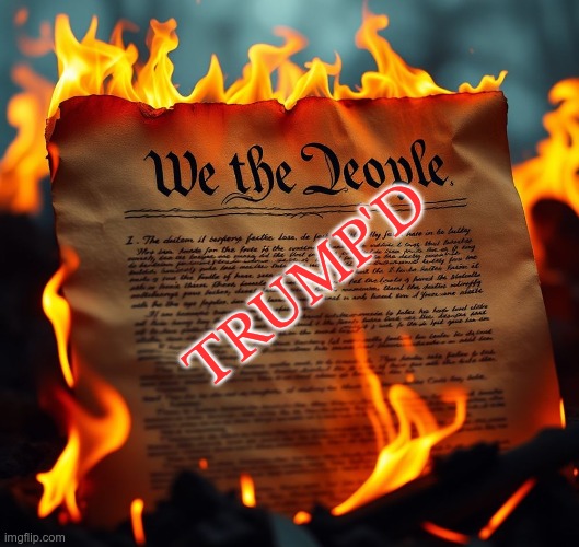 Trump'd | TRUMP'D | image tagged in trump,gop,maga,nazi,fascist | made w/ Imgflip meme maker