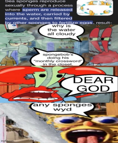 How sponges reproduce?.mp3 | made w/ Imgflip meme maker