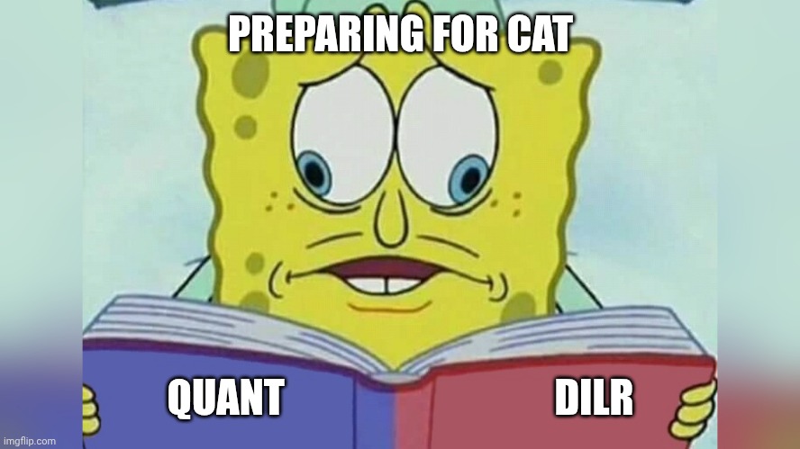 CAT prep | PREPARING FOR CAT; QUANT                                  DILR | image tagged in spongebob looking both ways | made w/ Imgflip meme maker