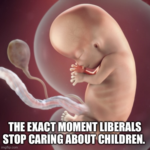 10 Week Fetus | THE EXACT MOMENT LIBERALS STOP CARING ABOUT CHILDREN. | image tagged in 10 week fetus | made w/ Imgflip meme maker