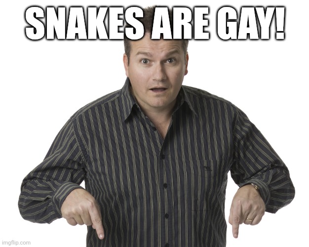 Pointing Down Disbelief | SNAKES ARE GAY! | image tagged in pointing down disbelief | made w/ Imgflip meme maker