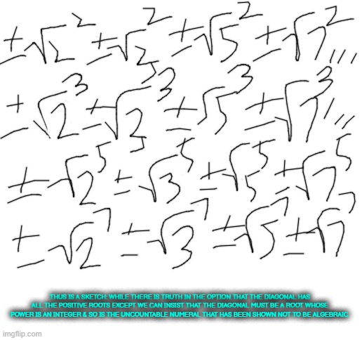 Blank White Template | THUS IS A SKETCH: WHILE THERE IS TRUTH IN THE OPTION THAT THE DIAGONAL HAS ALL THE POSITIVE ROOTS EXCEPT WE CAN INSIST THAT THE DIAGONAL MUS | image tagged in blank white template | made w/ Imgflip meme maker