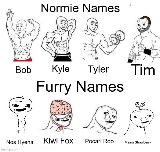 Normie vs. Furry Names | Normie Names; Tim; Kyle; Tyler; Bob; Furry Names; Kiwi Fox; Pocari Roo; Nos Hyena; Majira Strawberry | image tagged in x in the past vs x now,furry,names | made w/ Imgflip meme maker