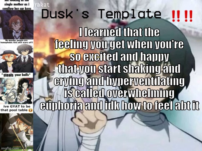 Dusk's Temp Fr | I learned that the feeling you get when you're so excited and happy that you start shaking and crying and hyperventilating is called overwhelming euphoria and idk how to feel abt it | image tagged in dusk's temp fr | made w/ Imgflip meme maker