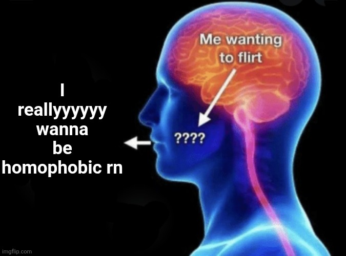 Aughhh gay people | I reallyyyyyy wanna be homophobic rn | image tagged in me wanting to flirt | made w/ Imgflip meme maker